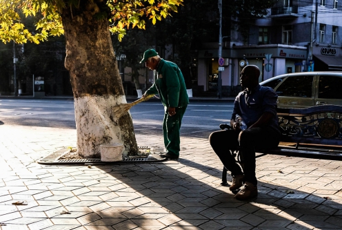The invisible tree painter (Armenia, 2018)